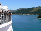 Close-up viewing of the Marlborough Sounds fjords